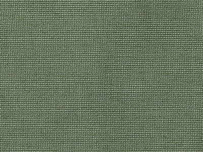Sunbrella Bliss Aloe furniture fabric. Item number 48135-0017